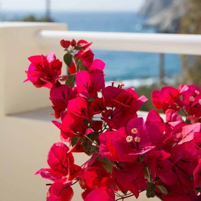 double room sail inn santorini 7